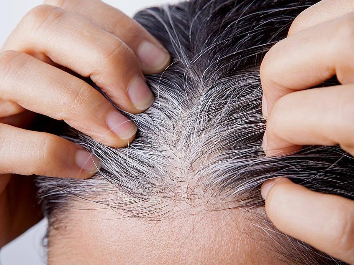 De nieuwe trend in Nederland: nooit meer haarverf gebruiken – vaarwel grijze haren